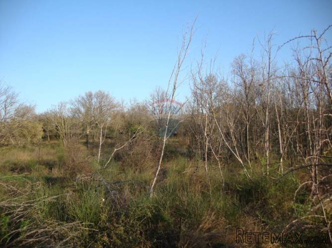 ISTRA, MEDULIN, poljoprivredno zemljište - 2
