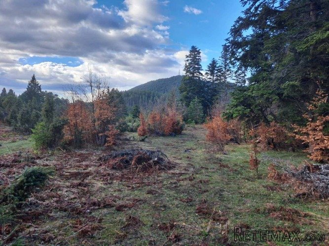 Plac Zlatibor selo Stublo - 10