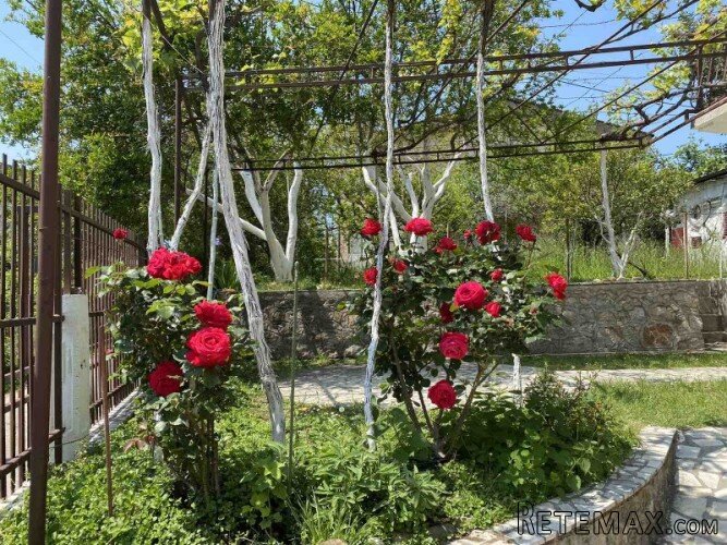 Šušanj-Bar. Izdajem 2 apartmana po 70 m² - 2