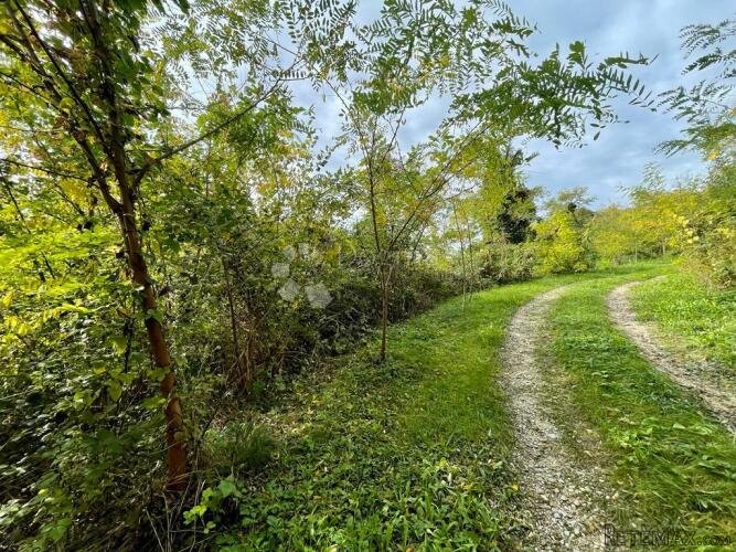 Veliko poljoprivredno zemljište u Zagorju puno potencijala - 3
