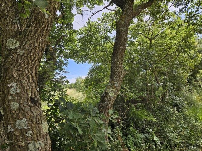 Prodaje se građevinsko zemljište, 1712m2, Marčana! - 4