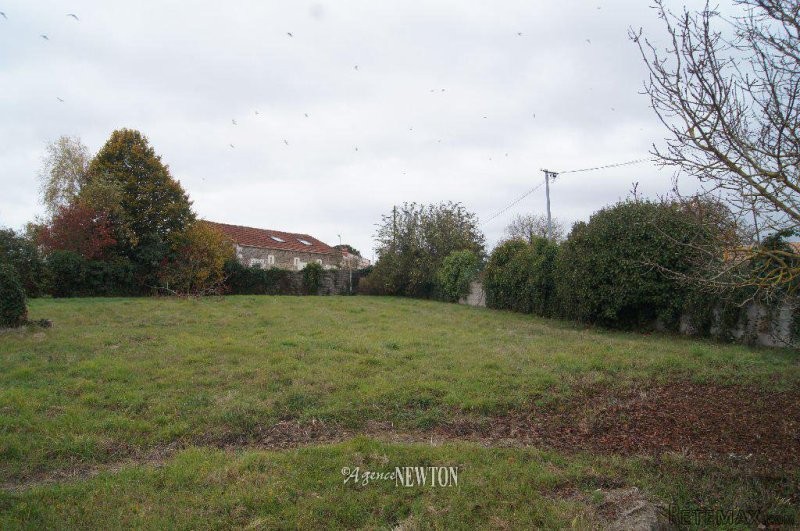 Vendee - Land Saint-Benoist-sur-Mer 868.. - 2
