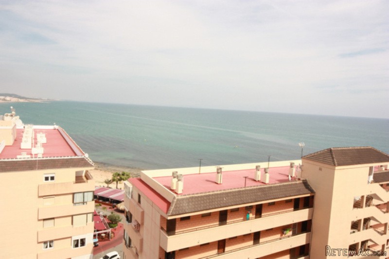 1 Bedroom - Apartment - Alicante - For.. - 2