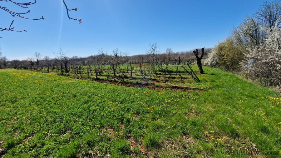 Savićenta, Ferlini, Negrađevinsko Zemljište 2305m2 - 2