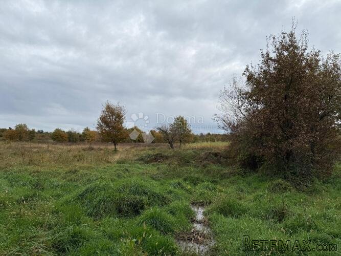 Prostrano poljoprivredno zemljište 700m od mora - Poreč - 3
