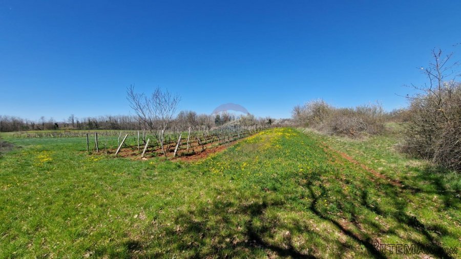 Savićenta, Ferlini, Negrađevinsko Zemljište 2305m2 - 3