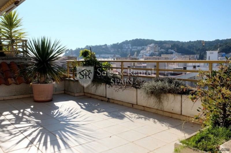 Beautiful Apartment With A Large..