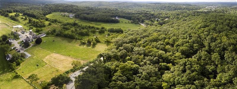 Land For Sale: 1220 White Horse Lane.. - 2