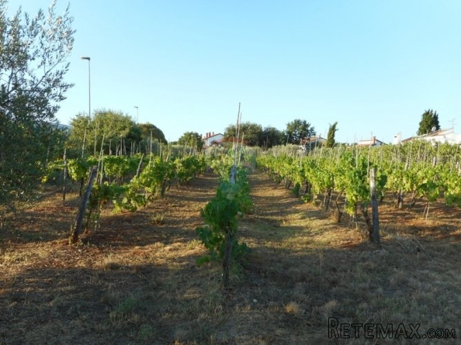 POREČ:4km OD GRADA I NEDALEKO MORA