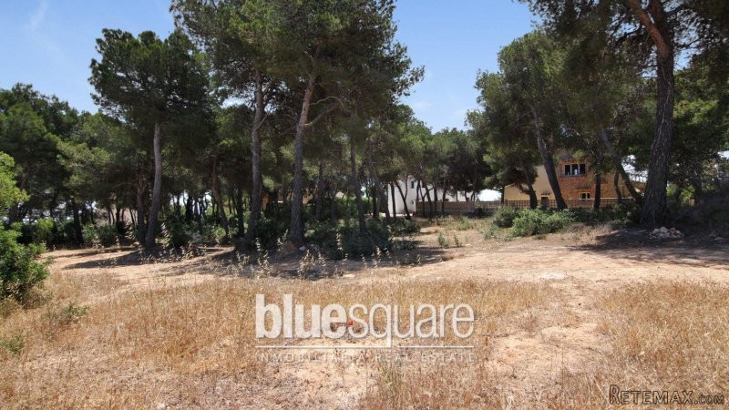 PLOTS WITH SEA VIEW - 2