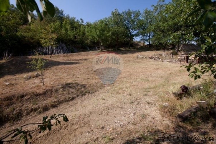 Oaza mira pored Draguća - 4