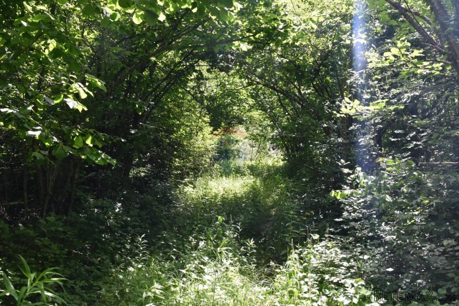 Moravice - Teren (17.500 m2) - 2