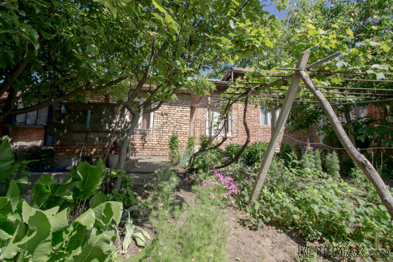 Lovely 3-bedroom House with big yard.. - 2