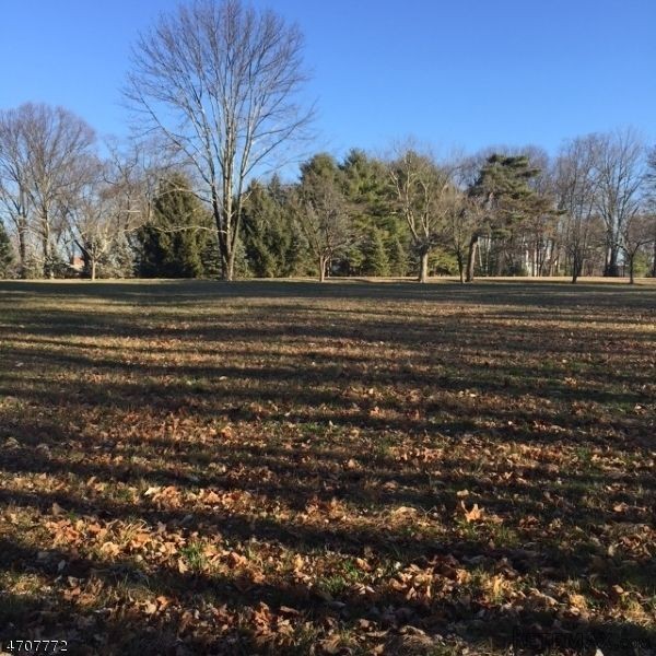 Land For Sale: 61 Village Rd - 2