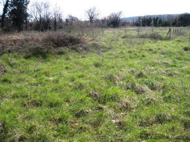 ISTRA ,LIŽNJAN: GRAĐEVINSKO ZEMLJIŠTE BLIZU MORA - 4