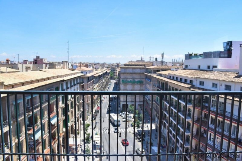 Bright apartment at Jaime III in Palma..