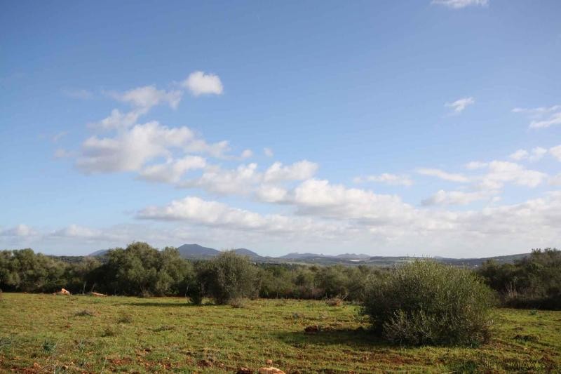 Beautiful plot with nice views nearby.. - 2