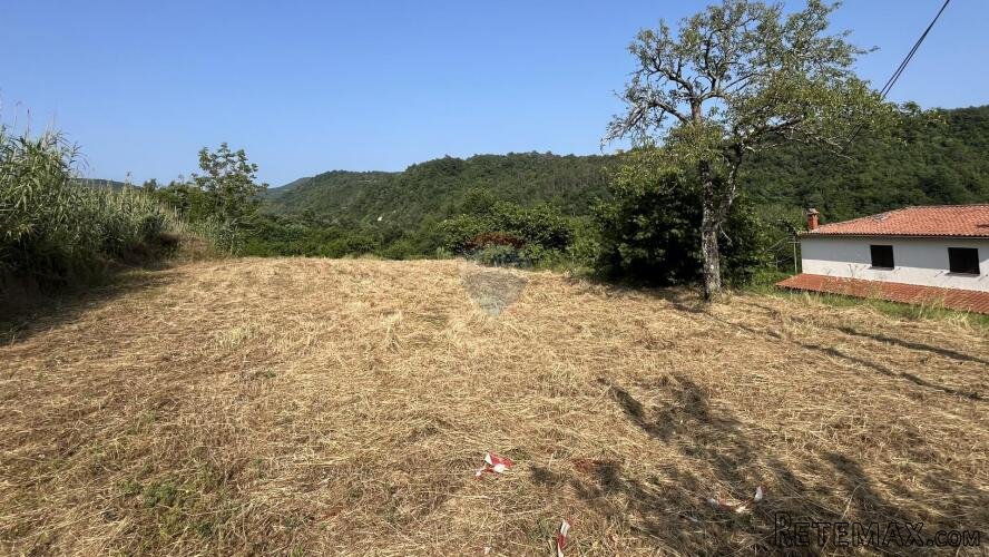 Istra, Buzet - okolica, građevinsko i poljoprivredno zemljiš - 3