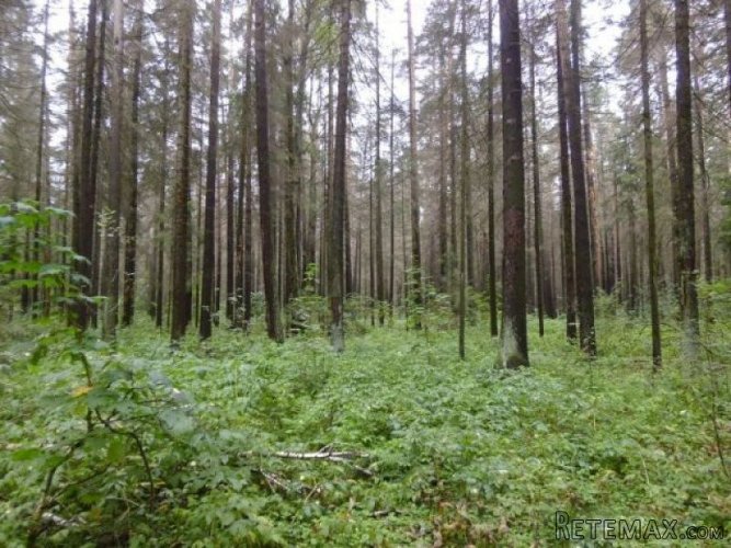 Старт продаж Уникальное место Река