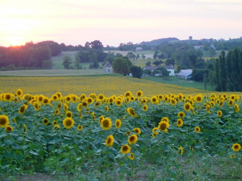 Situated In Beautiful French Lot Et.. - 2