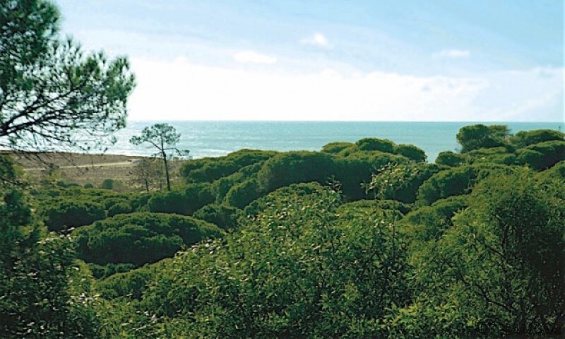Beachfront Land In Vale Do Lobo Resort - 2