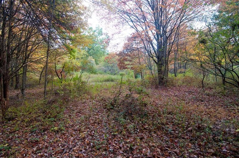 Land For Sale: 185 Finch Road North.. - 2