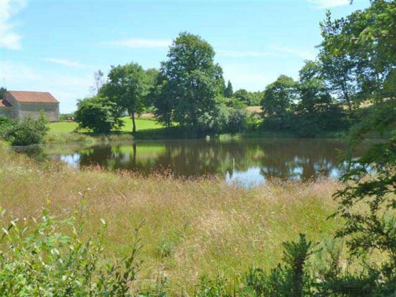 Almost 5 Acres Of Land With A Building..