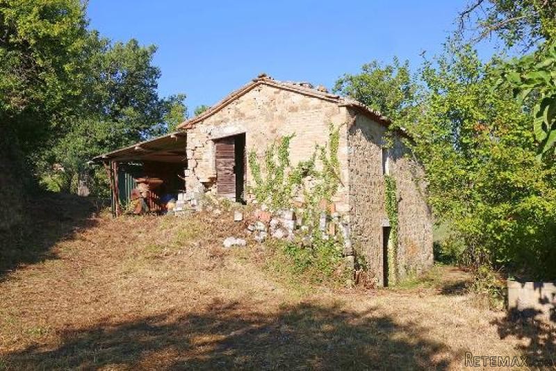 House - Tuscany - For Sale - 2