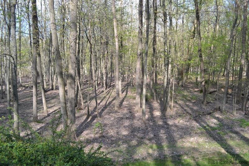 Land For Sale: 7 Crusher Road Bedford.. - 2