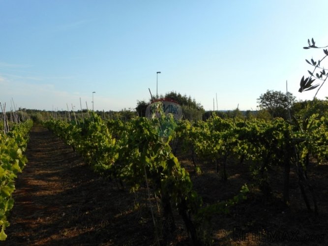 POREČ:4km OD GRADA I NEDALEKO MORA - 4