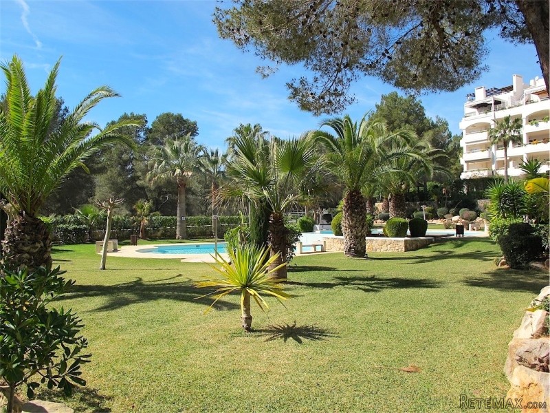 4 Bedrooms - Property - Ibiza - For Sale - 2