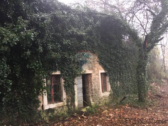 STARINA S PREDIVNIM POGLEDOM NA UČKU! - 2