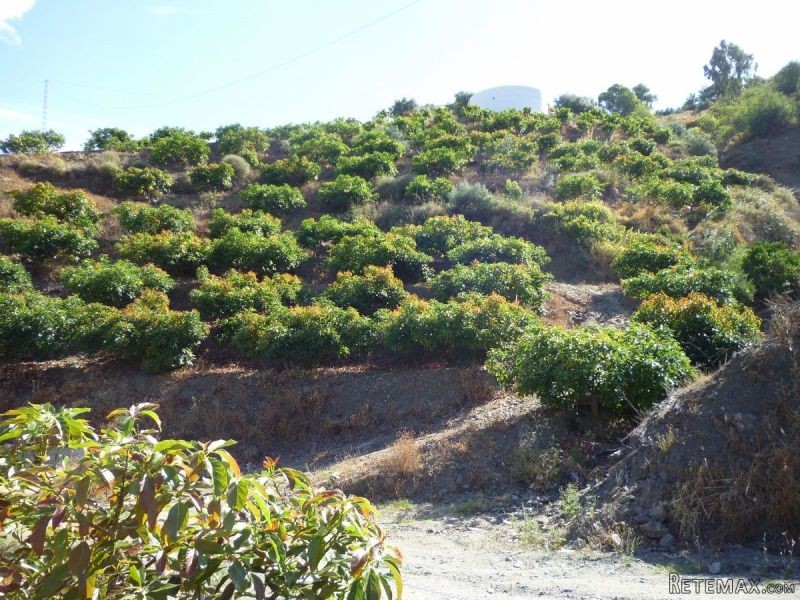2 Bedrooms - Country House - Malaga -..