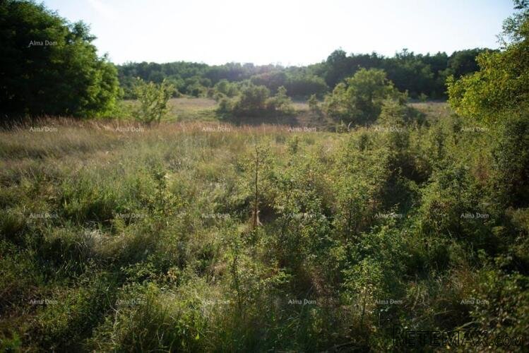 Prodaje se građevinsko zemljište, 900 m2, s projektom za v.. - 3