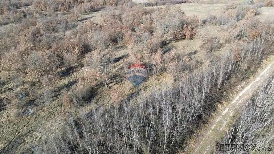 Istra, Baderna, okolica - veliko poljoprivredno zemljište v