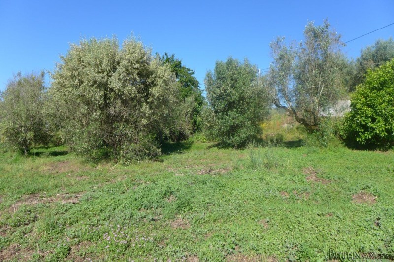 Land plot With Viability To Built In.. - 2