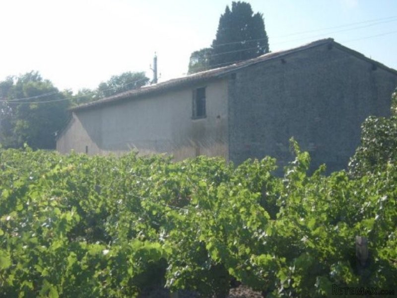 Villa - Languedoc-Roussillon - For Sale - 2