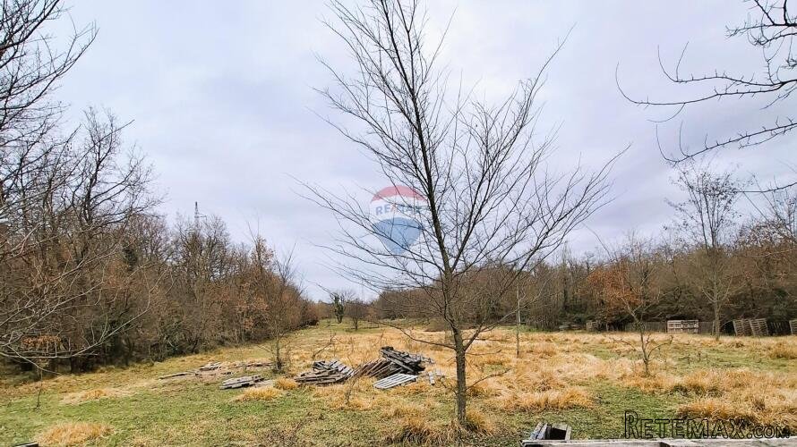 Istra, Brtonigla, poljoprivredno zemljište 9.862 m2