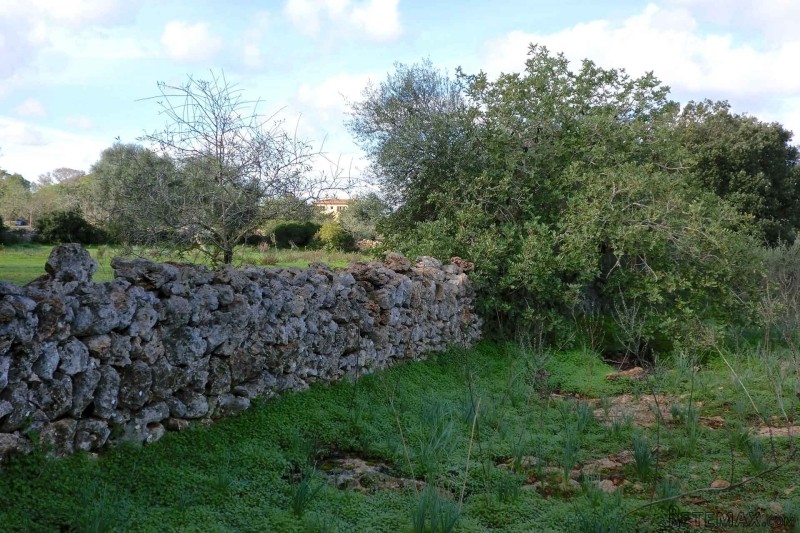 Fantastic plot with project in quiet.. - 2
