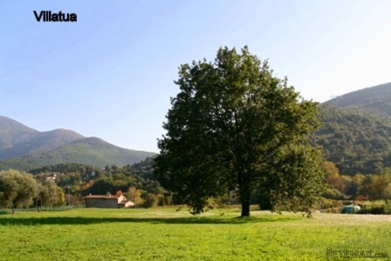 Liberty Villa (1900s) - For Sale - -.. - 2