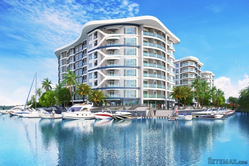Whale Marina - Thailand