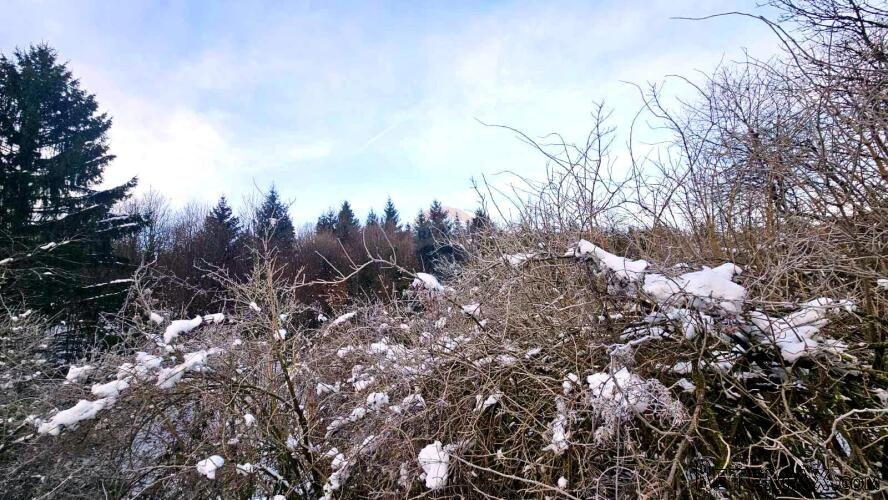 Građevinski teren, Gorski kotar, 758 m², Brod Moravice - 3