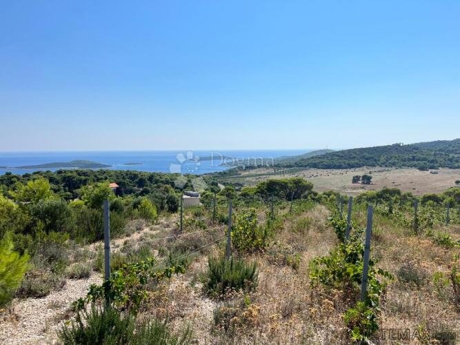 Otok Vis - izniman posjed s kamenom starinom za adaptaciju ! - 5