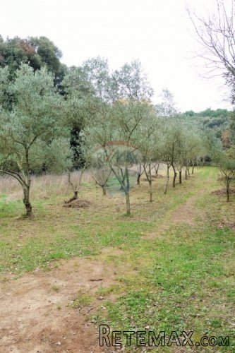 Istra,Banjole,poljoprivredno zemljište uz more - 3