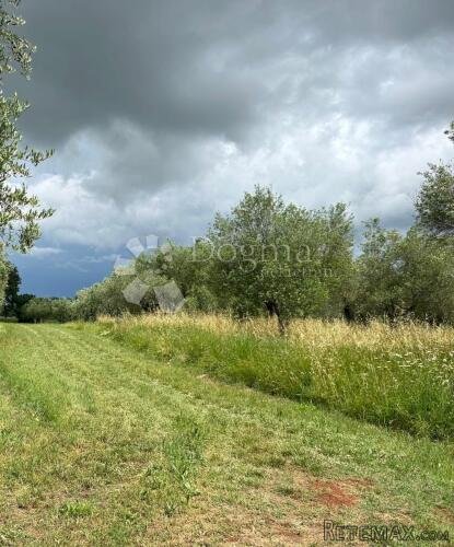 Poljoprivredno zemljište u vinogradarskom kraju