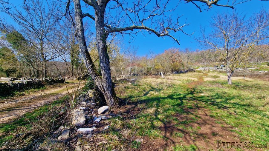 Istra,Grožnjan,okolica-Građevinsko zemljište u mirnom okruže - 2