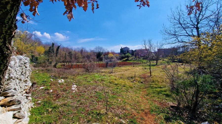 Istra,Grožnjan,okolica-Građevinsko zemljište u mirnom okruže - 3