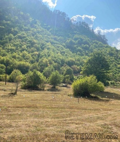 Prodajem vikendicu (bungalov) sa placem - 4