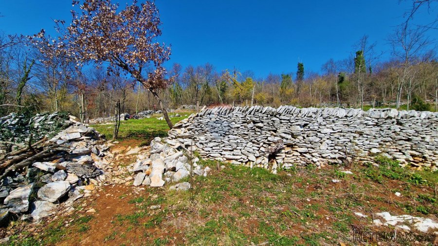 Istra,Grožnjan,okolica-Građevinsko zemljište u mirnom okruže - 5