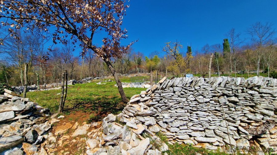 Istra,Grožnjan,okolica-Građevinsko zemljište u mirnom okruže - 6